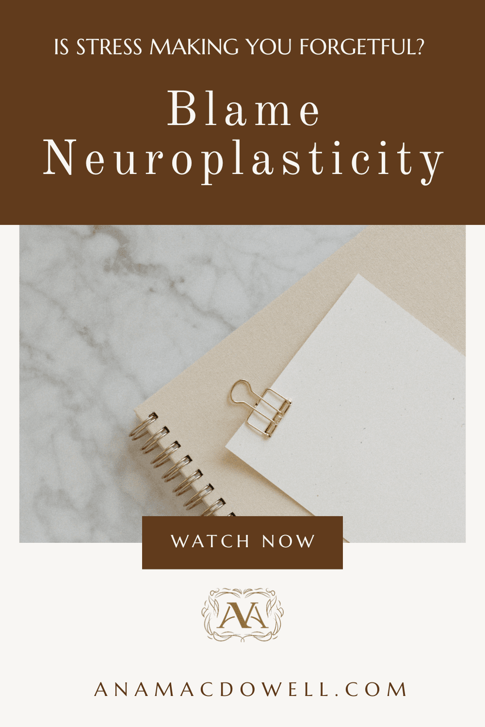 Worried stress is hurting your brain? Learn how neuroplasticity is affected by chronic stress—and what you can do to stay sharp. #Neuroplasticity #DoctorLife #PhysicianWellness #WorkLifeBalance #ProductivityTips