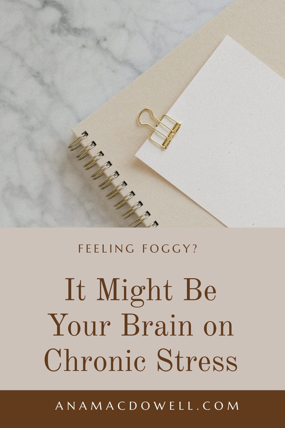 Worried stress is hurting your brain? Learn how neuroplasticity is affected by chronic stress—and what you can do to stay sharp. #Neuroplasticity #DoctorLife #PhysicianWellness #WorkLifeBalance #ProductivityTips