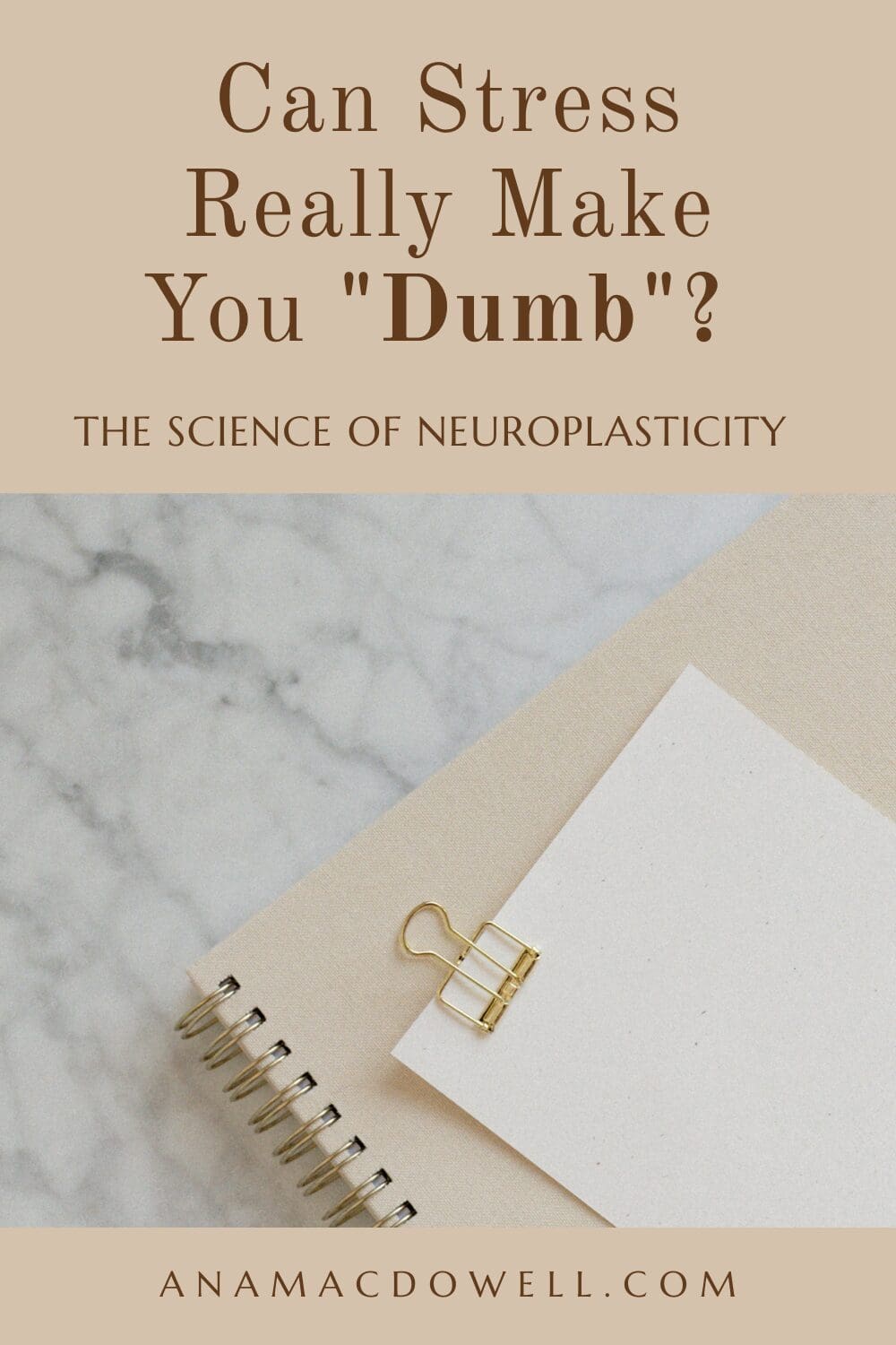 Worried stress is hurting your brain? Learn how neuroplasticity is affected by chronic stress—and what you can do to stay sharp. #Neuroplasticity #DoctorLife #PhysicianWellness #WorkLifeBalance #ProductivityTips