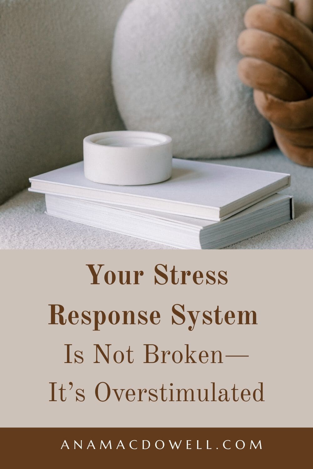 Ever wonder why small stressors feel like big threats? Discover how the stress response system works, why your brain reacts this way, and how to calm it down fast. #StressResponseSystem #DoctorLife #PhysicianWellness #WorkLifeBalance #ProductivityTips
