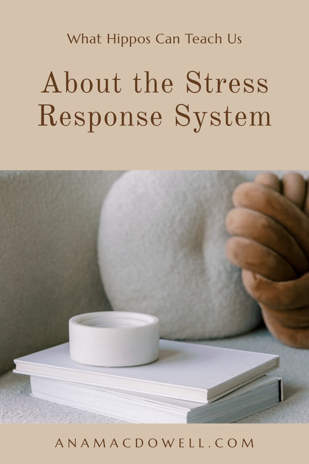 Ever wonder why small stressors feel like big threats? Discover how the stress response system works, why your brain reacts this way, and how to calm it down fast. #StressResponseSystem #DoctorLife #PhysicianWellness #WorkLifeBalance #ProductivityTips